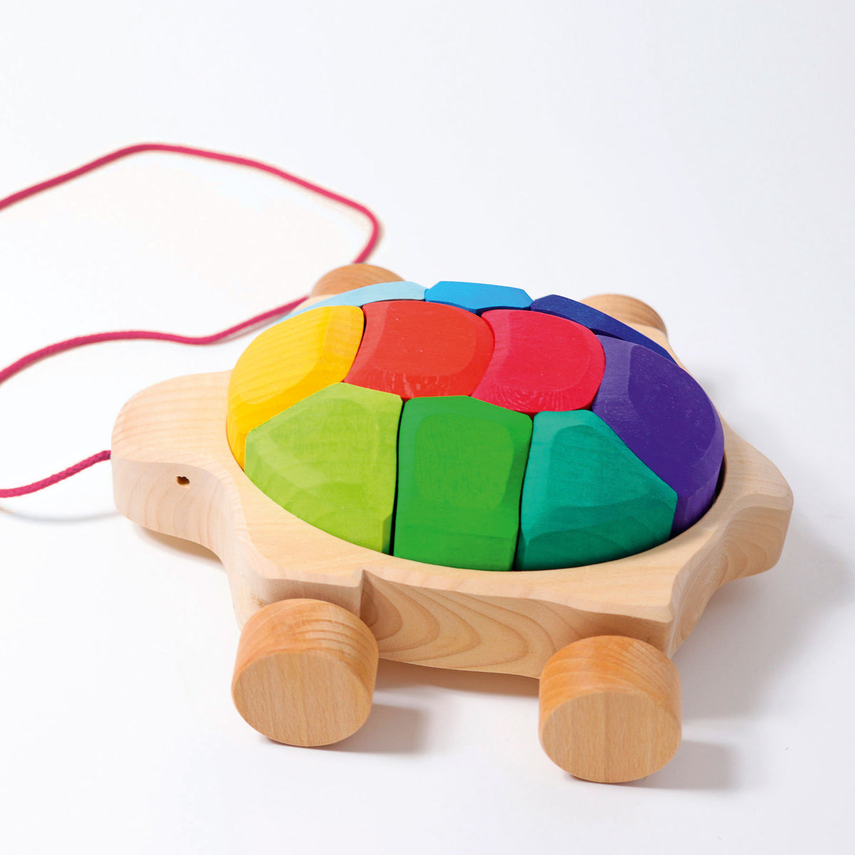 Regenbogen Schildkröte